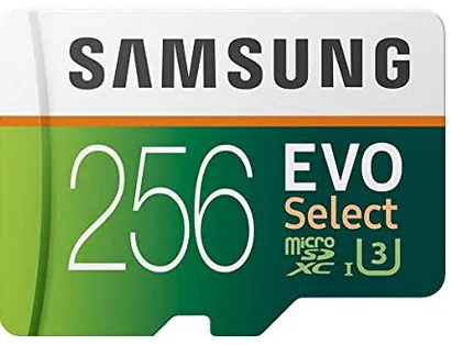 micro SDXC UHS-I U1